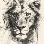Echo of the Wild