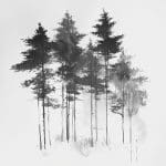 Silent Pines