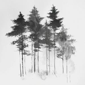 Silent Pines
