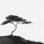 Whispered Hill