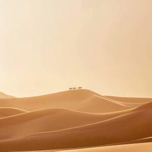Whispers of the Dunes
