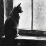 Window Whispers