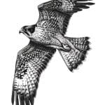 Wings of Precision
