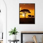 Savanna Dusk MC
