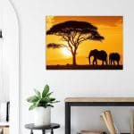 Savanna Dusk MC 3